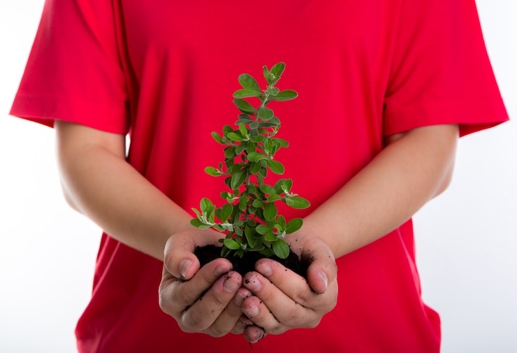 Traveler in Eco-Friendly Activity
